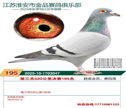 淮安金品决赛195名