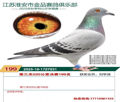 淮安金品决赛199名