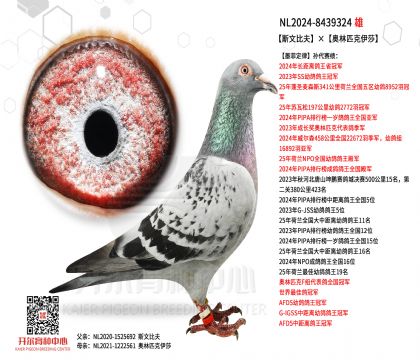 1父亲NL2024-8439324