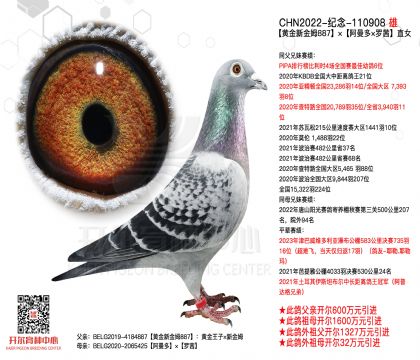 1.父亲CHN2022-110908