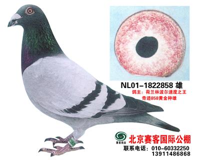 �ֲ���2001��һ�S���䌦(du��)��