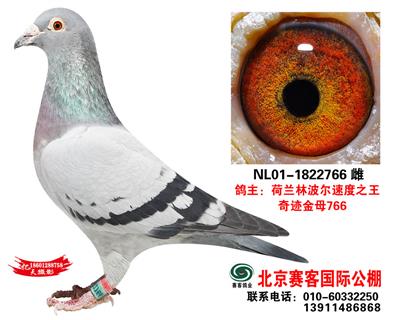 �ֲ���2001��һ�S���䌦(du��)��