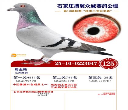 搏翼众诚公棚决赛125名