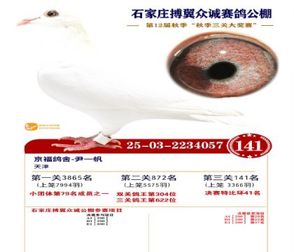 搏翼众诚公棚决赛141名