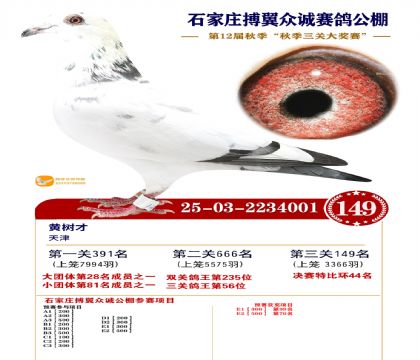 搏翼众诚公棚决赛149名