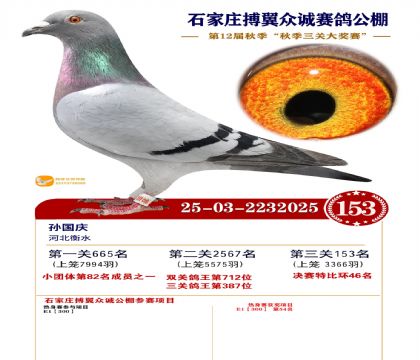 搏翼众诚公棚决赛153名