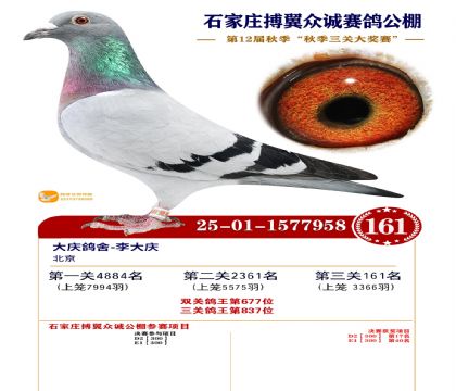 搏翼众诚公棚决赛161名