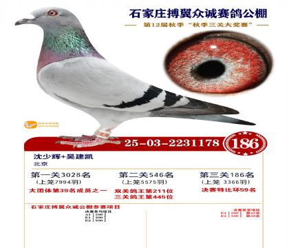 搏翼众诚公棚决赛186名