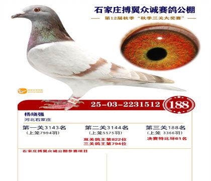 搏翼众诚公棚决赛188名