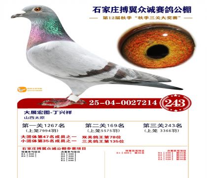 搏翼众诚公棚决赛243名