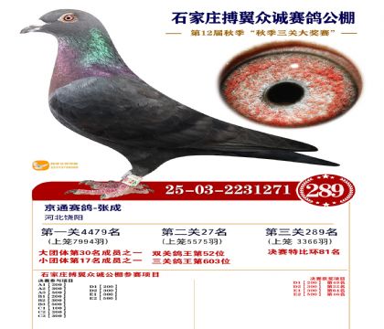 搏翼众诚公棚决赛289名