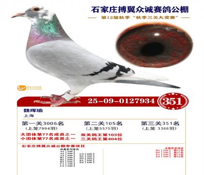 搏翼众诚公棚决赛351名