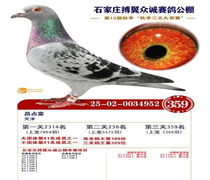 搏翼众诚公棚决赛359名