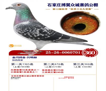 搏翼众诚公棚决赛360名