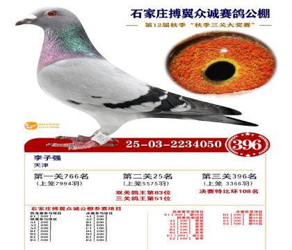 搏翼众诚公棚决赛396名