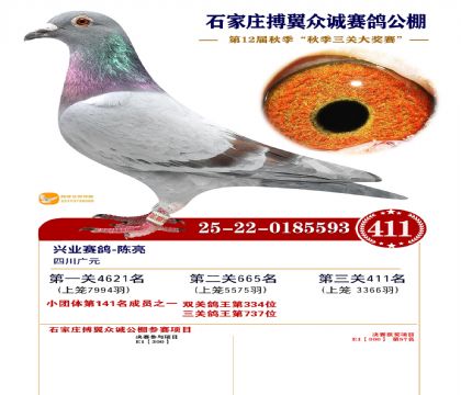 搏翼众诚公棚决赛411名