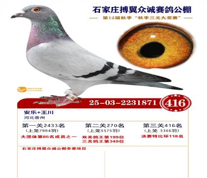 搏翼众诚公棚决赛416名