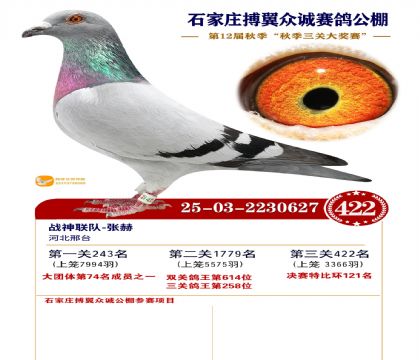 搏翼众诚公棚决赛422名