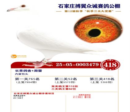 搏翼众诚公棚决赛418名