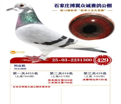 搏翼众诚公棚决赛429名