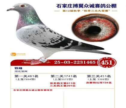 搏翼众诚公棚决赛451名