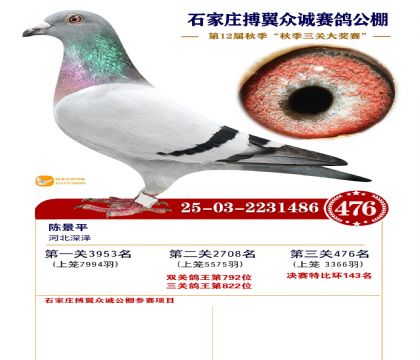 搏翼众诚公棚决赛476名