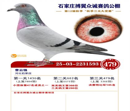 搏翼众诚公棚决赛479名