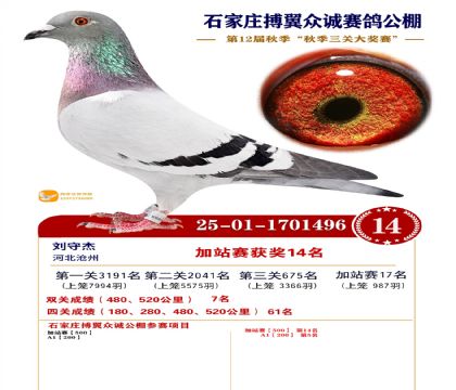 搏翼众诚公棚加站赛14名