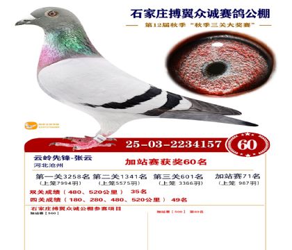 搏翼众诚公棚加站赛60名