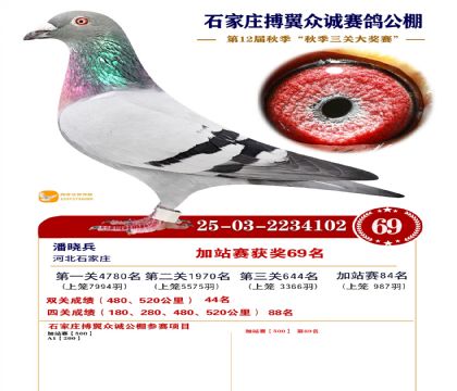 搏翼众诚公棚加站赛69名