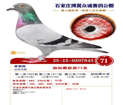 搏翼众诚公棚加站赛71名