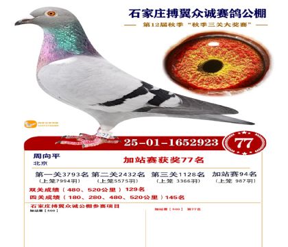 搏翼众诚公棚加站赛77名