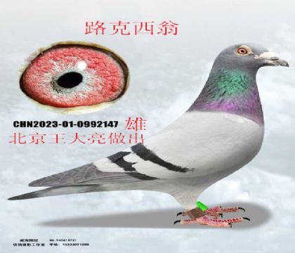 ����������¬�� ����