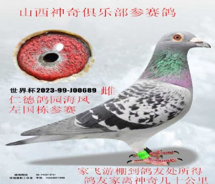 �ʵ¸�԰��ɽ�����������