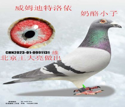 ������������ķ��������