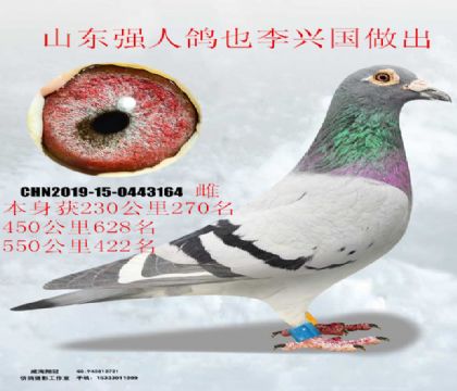 ǿ�����˹��������سɼ���