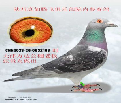 �������Ź��������������ڷ�Ժ��