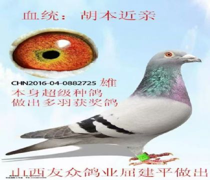 ɽ����������ƽ�����𻷺�������