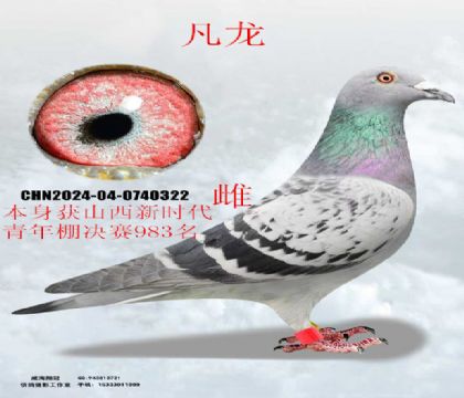 ɽ���r��������Qِ983������