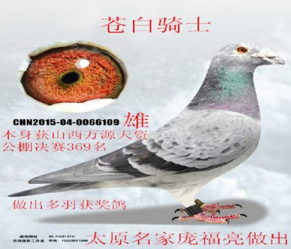 ̫ԭ���������������fԴ���Y�Qِ369���n���Tʿ