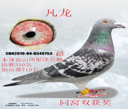 ɽ���y�ɹ���Qِ310������