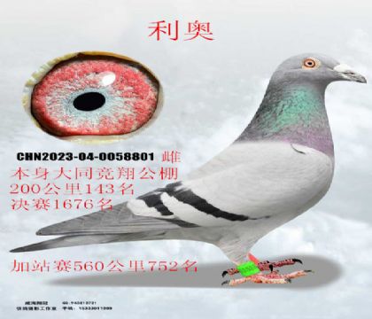 ��ͬ���蹫���վِ�w���W