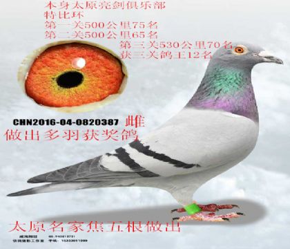 ̫ԭ���ҽ�������������رȭh(hu��n)���P(gu��n)����12��