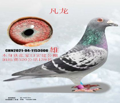 ���ҿں꽨�����վِ129������