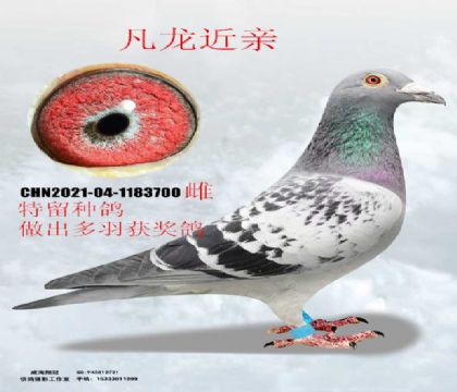 �������H�����N��