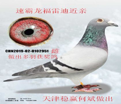 ���(w��n)�A�����ٰ���