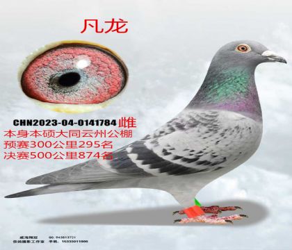 ��ͬ�����A(y��)ِ295���Qِ874������