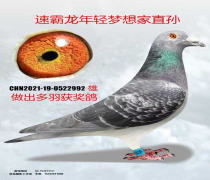 �ٰ������p�����ֱ�O