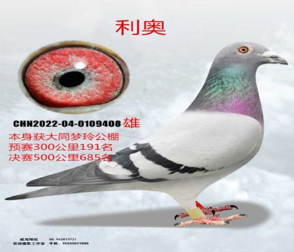 ��ͬ�����A(y��)ِ191���Qِ685�����W