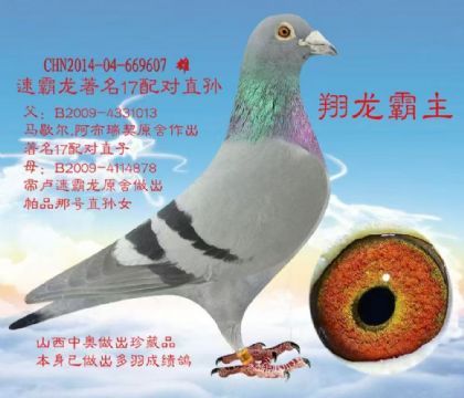 �����N���ٰ���17�䌦���Hֱ�O